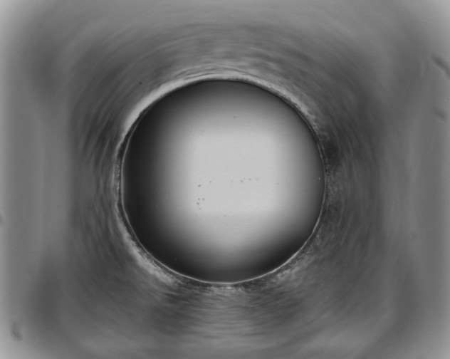 X0000097491526200802291419