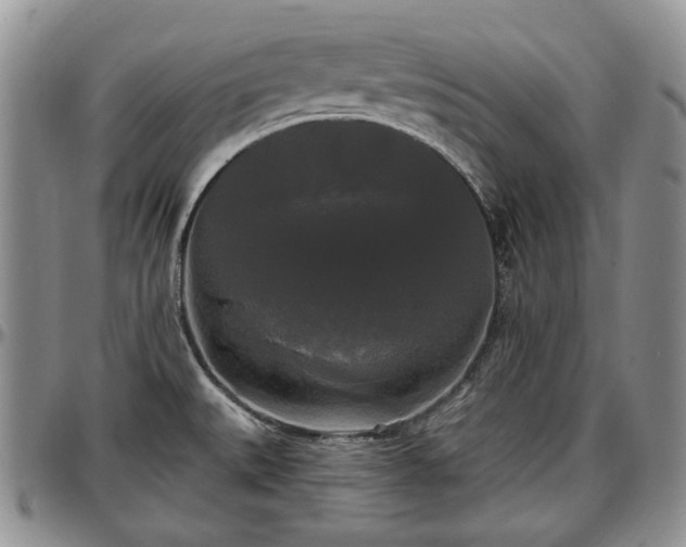 X0000097491527200802291419