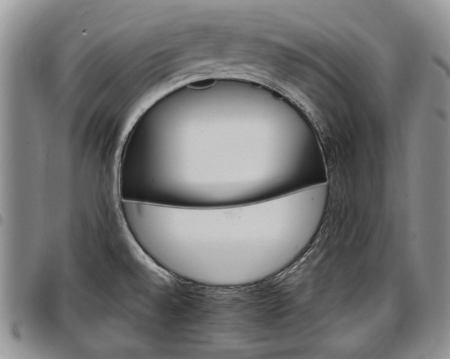 X0000097491528200802291419