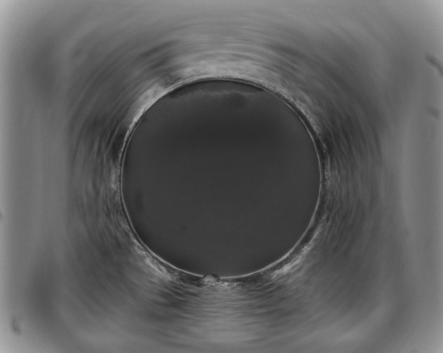 X0000097491529200802291419