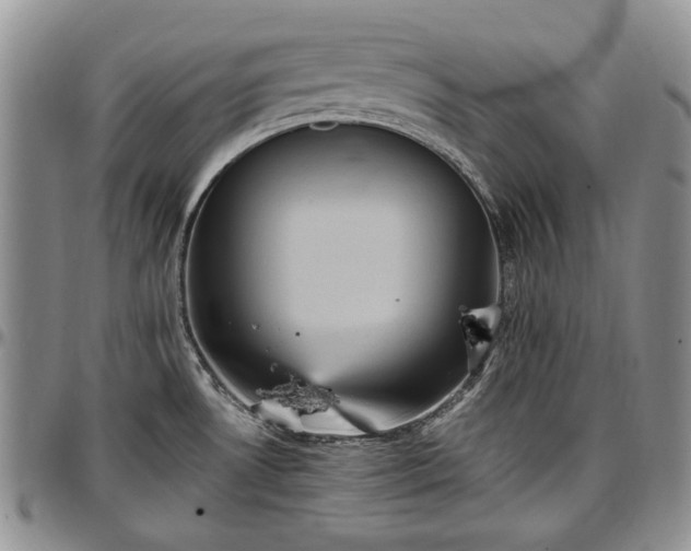 X0000097491530200802291419