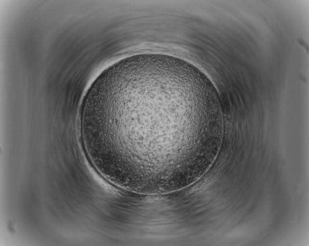 X0000097491531200802291419