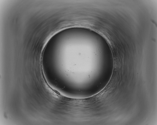 X0000097491532200802291419