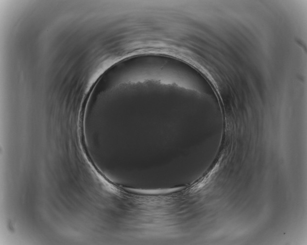 X0000097491533200802291419