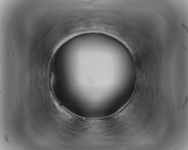 X0000097491534200802291419