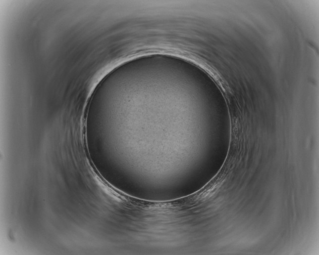 X0000097491535200802291419