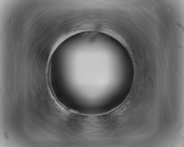 X0000097491536200802291419