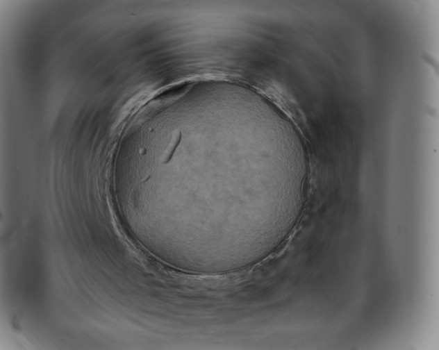 X0000097490001200803071750