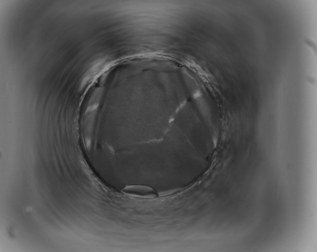 X0000097490002200803071750