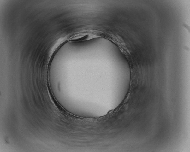 X0000097490003200803071750