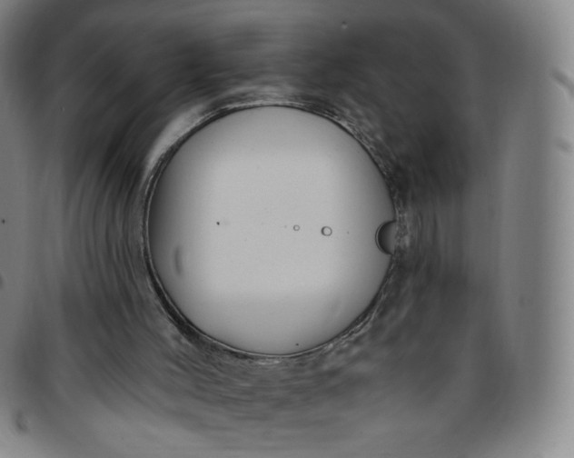 X0000097490004200803071750