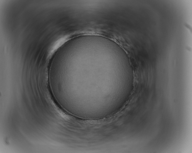 X0000097490005200803071750