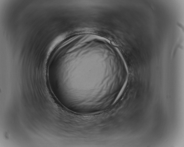 X0000097490006200803071750