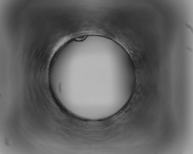 X0000097490008200803071750