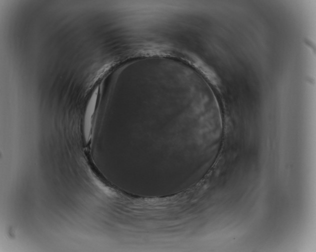 X0000097490009200803071750