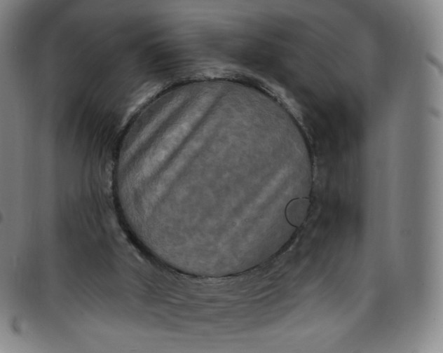 X0000097490010200803071750