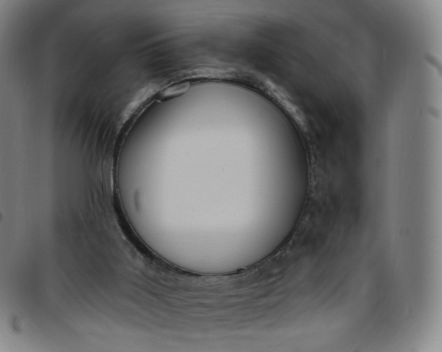 X0000097490011200803071750