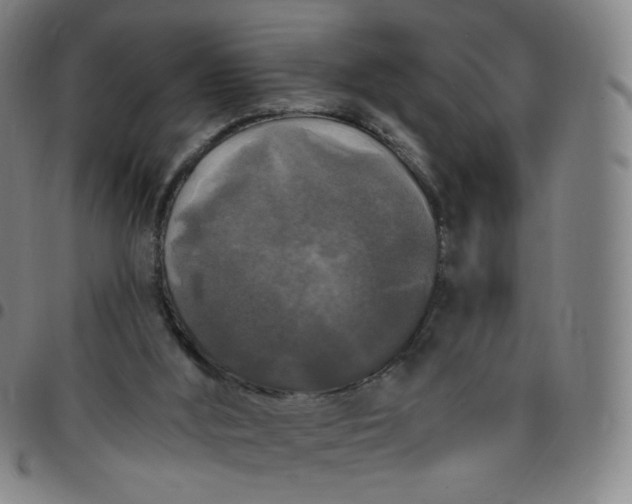 X0000097490012200803071750