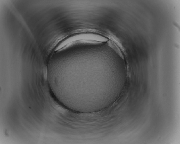 X0000097490013200803071750