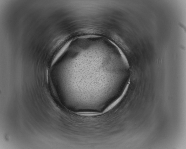 X0000097490014200803071750