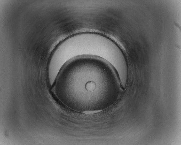 X0000097490015200803071750