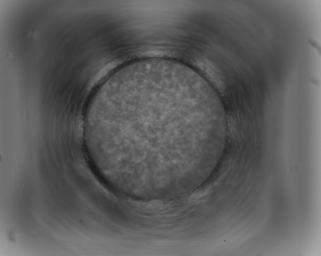 X0000097490016200803071750