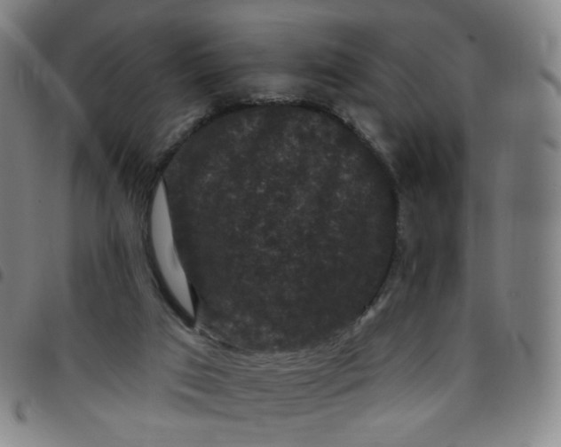 X0000097490017200803071750