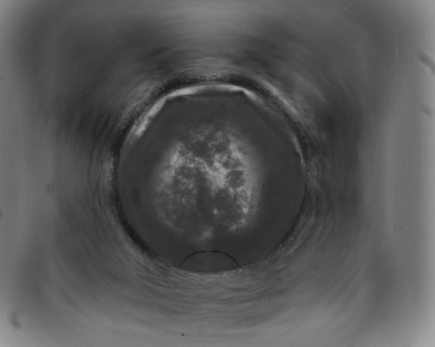 X0000097490018200803071749