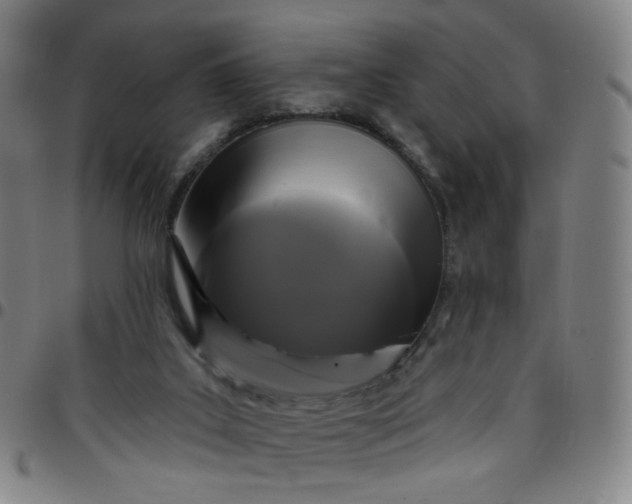 X0000097490019200803071749