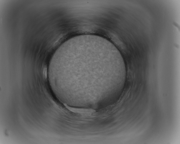 X0000097490021200803071749