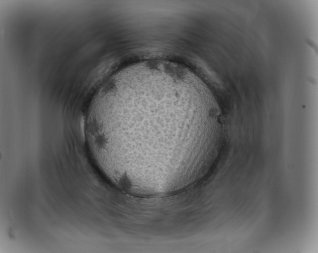 X0000097490022200803071749