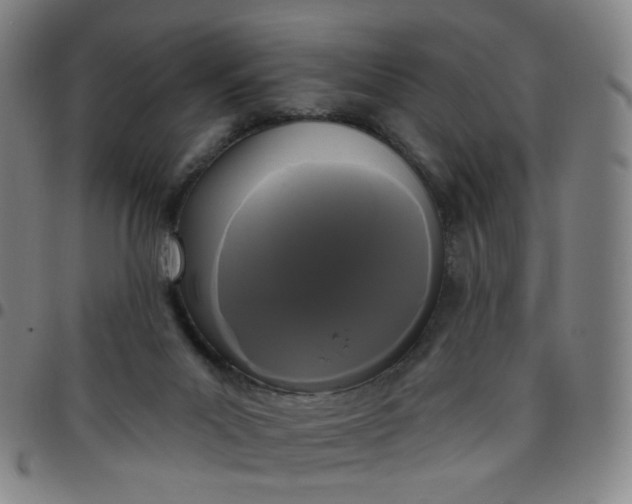 X0000097490023200803071749