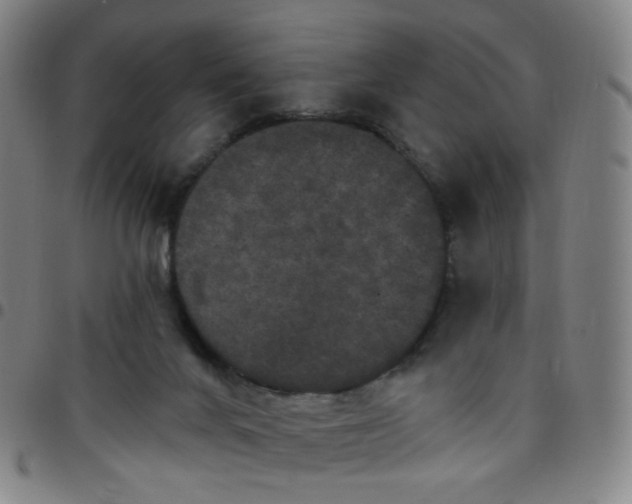 X0000097490024200803071749