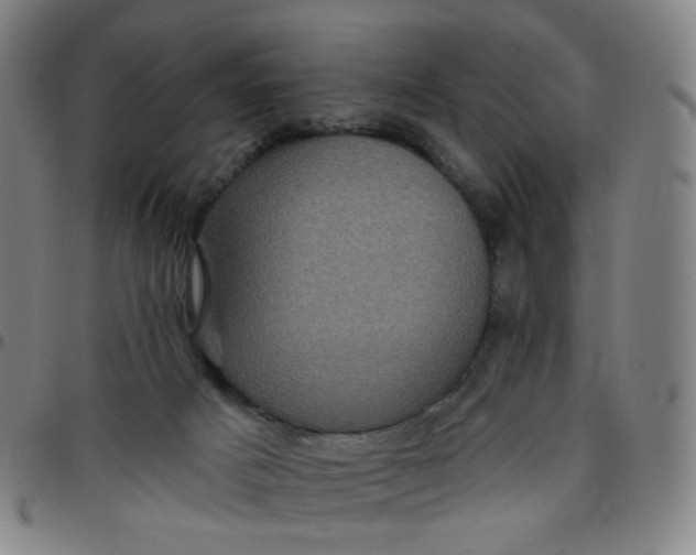 X0000097490025200803071749