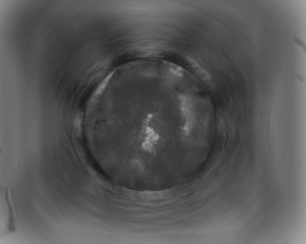 X0000097490026200803071749