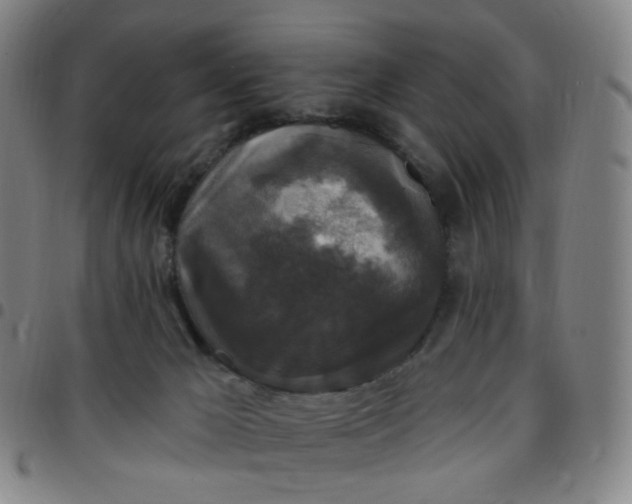 X0000097490029200803071749