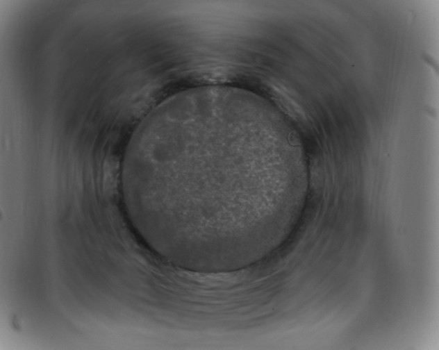 X0000097490030200803071749