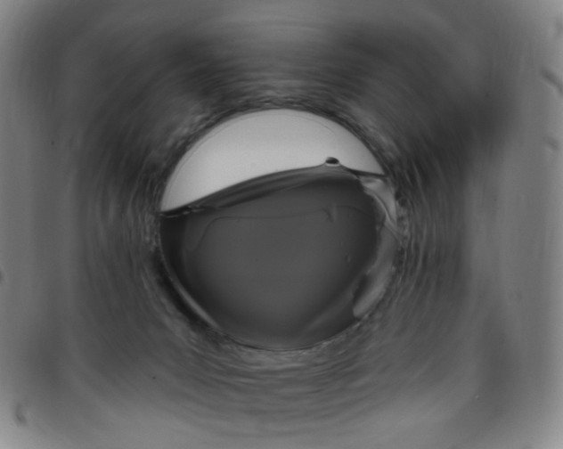 X0000097490031200803071749