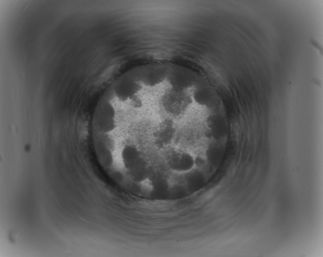 X0000097490032200803071749