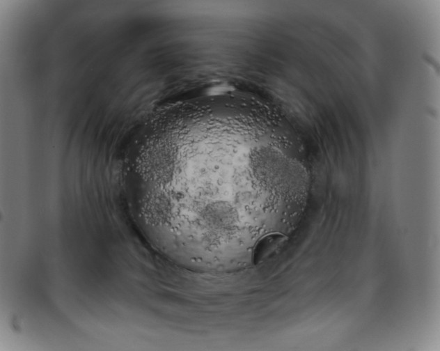 X0000097490034200803071749