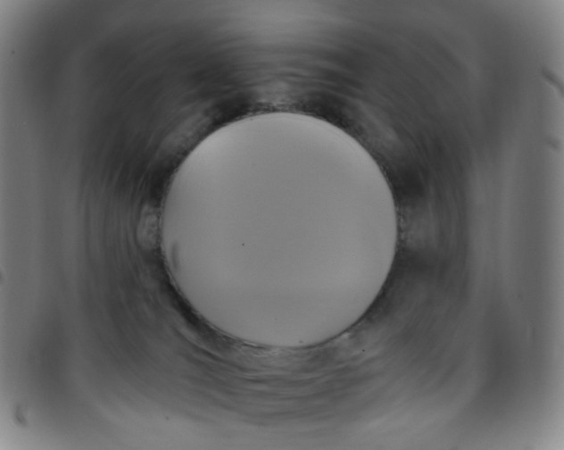 X0000097490036200803071749