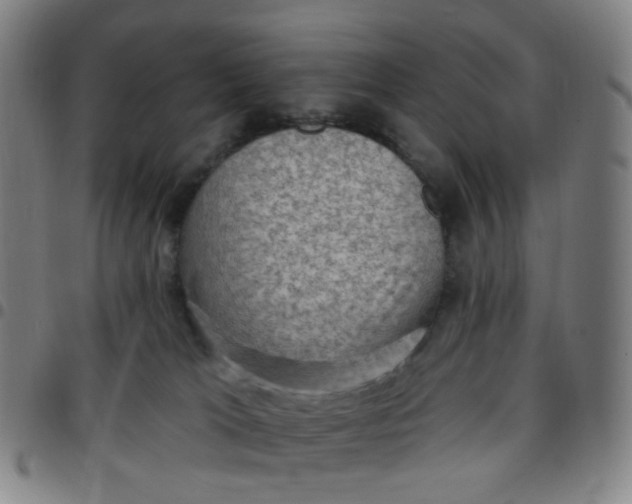 X0000097490037200803071749