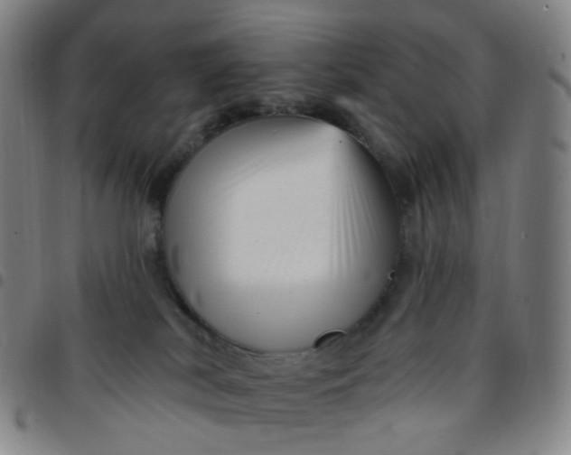 X0000097490038200803071749