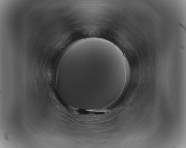 X0000097490039200803071749