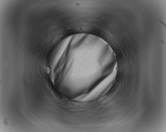 X0000097490040200803071749