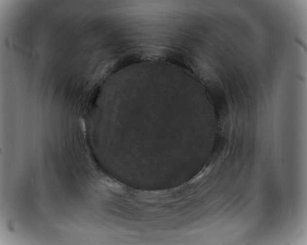 X0000097490041200803071749