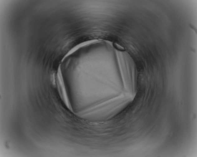 X0000097490042200803071749