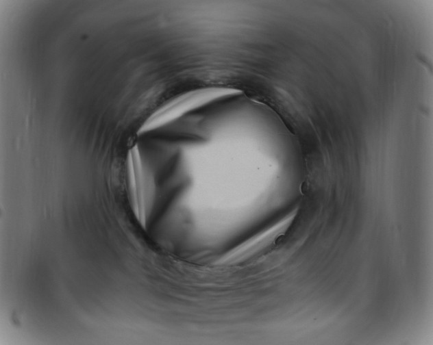 X0000097490044200803071749