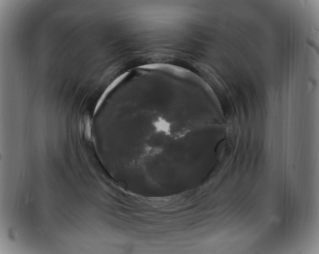 X0000097490046200803071749