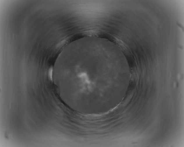 X0000097490047200803071749